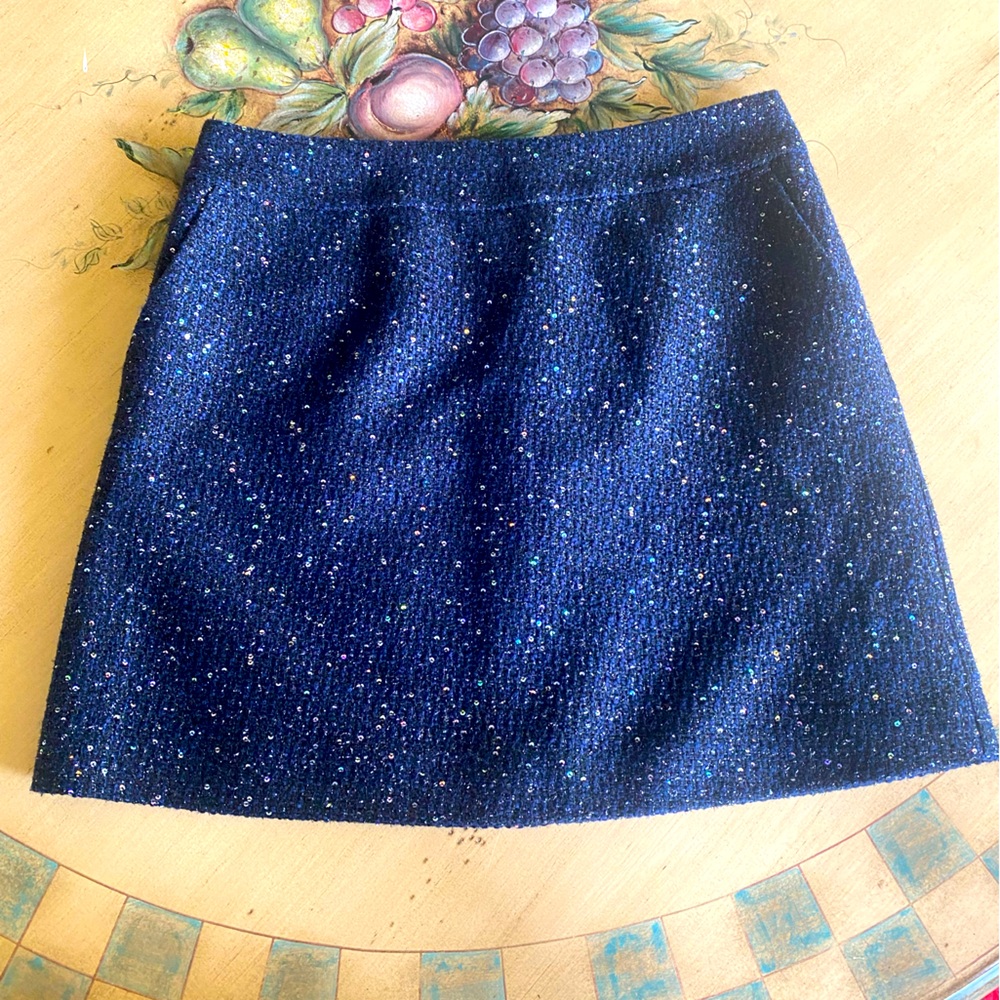 BNWT LOFT Tweed Sparkly Sequin Skirt - Women’s Size 10 Petite